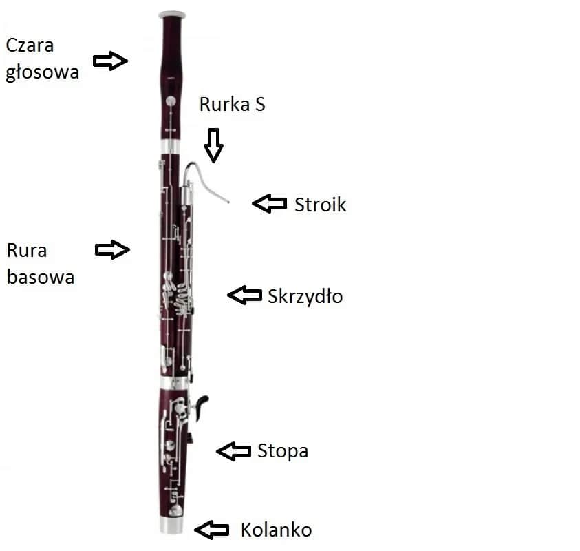 Fagot - instrument orkiestralny, historia, budowa, cena, nauka gry
