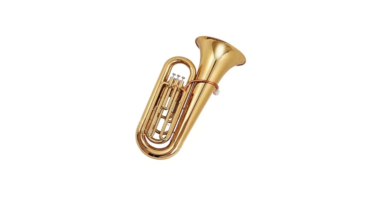 Jaka tuba jest najlepsza dla początkujących? Instrument idealny do nauki gry