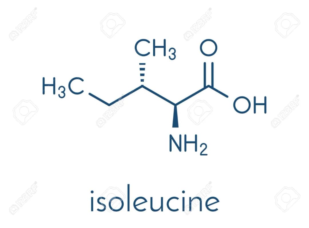 Ile jest liter i w polskim alfabecie? Zaskakujące fakty