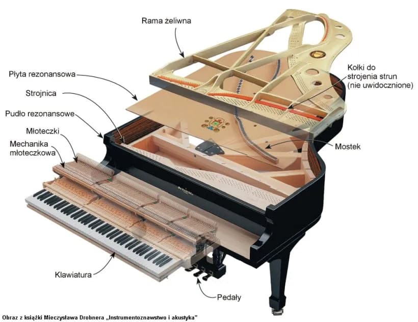 Fortepian - Budowa i działanie klawiszy. Jak wygląda wnętrze fortepianu?