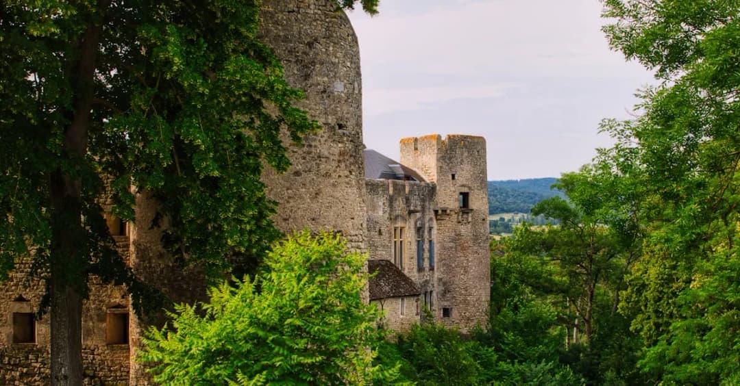 Leśne lokacje z polskich filmów - gdzie je znaleźć?