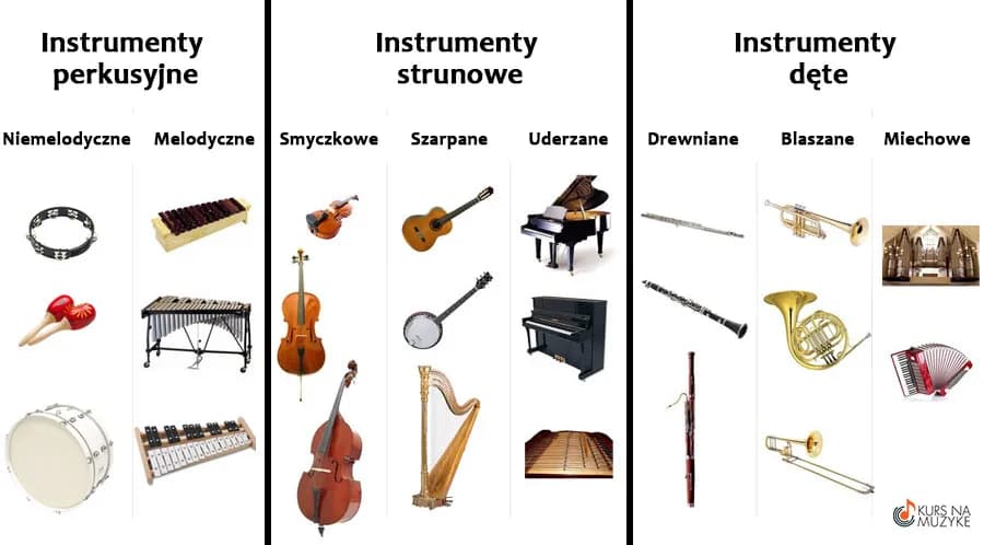 Podział instrumentów muzycznych i rodzaje instrumentów