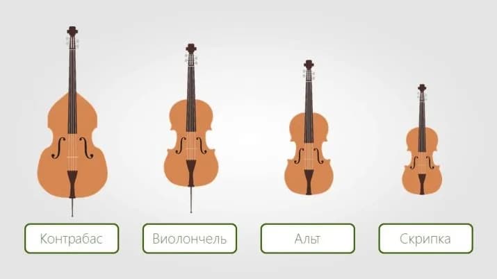 Kontrabas a wiolonczela - podobieństwa i różnice tych instrumentów smyczkowych