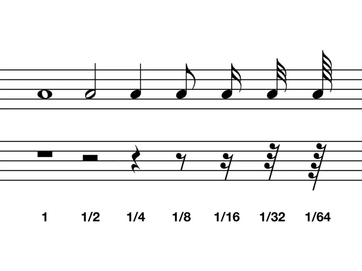 Nuta, półnuta, ćwierćnuta - jak wyglądają wartości nutowe?