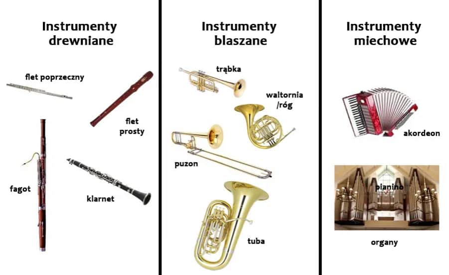 Instrumenty Muzyczne Dęte - Lista, Rodzaje i Opis